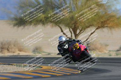 media/Feb-04-2023-SoCal Trackdays (Sat) [[8a776bf2c3]]/Turn 4 (Tree of Life 2pm)/